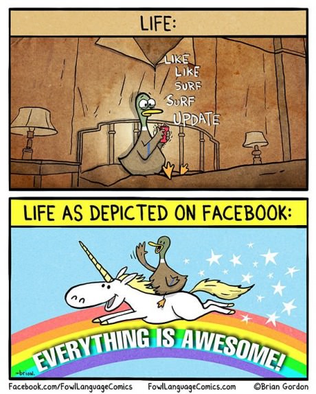 funny-picture-duck-facebook-real-life